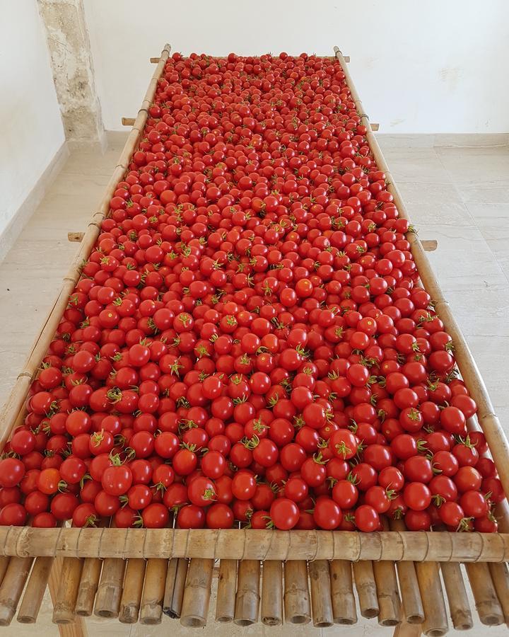 Antica Masseria Torre Mozza Torre Santa Susanna Εξωτερικό φωτογραφία